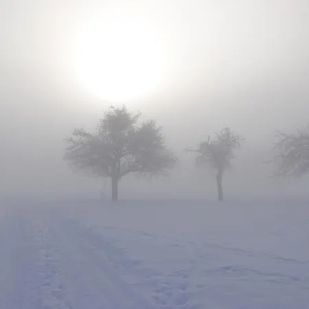Am Dorfbrunnen * Hundsangen