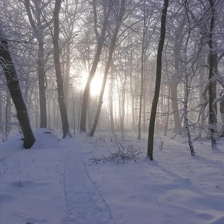 Am Dorfbrunnen Apartment