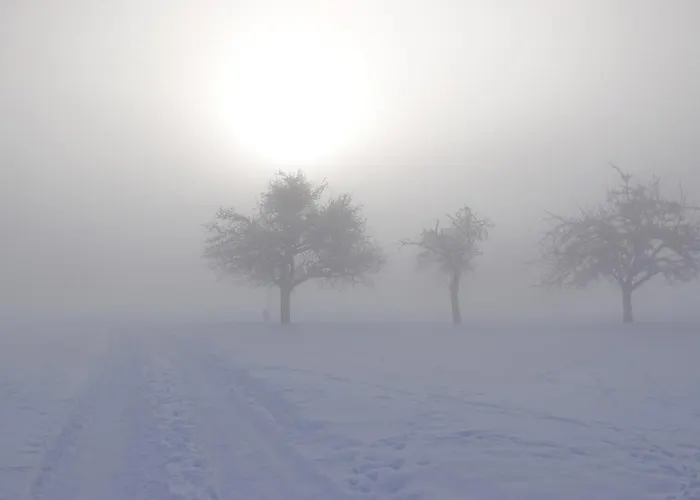 Am Dorfbrunnen * Hundsangen