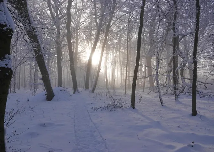 Am Dorfbrunnen شقة